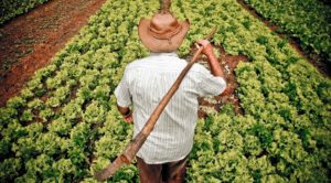 lei-da-agricultura-familiar-2